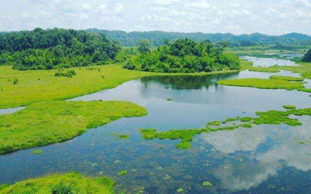 Crocodile Lake